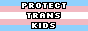 Protect Trans Kids