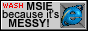 Wash MSIE because it's MESSY!